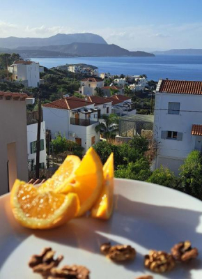 Bicorna - Chania